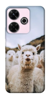 Чехол на Xiaomi Poco M6 4G Лама фото 1 из 1