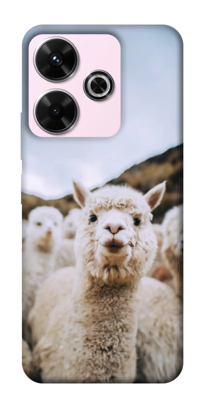 Чехол на Xiaomi Redmi 13 4G Лама фото 1 из 1