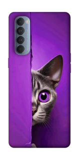 Чохол на Oppo Reno 4 Pro Кіт-підглядач фото 1 з 1