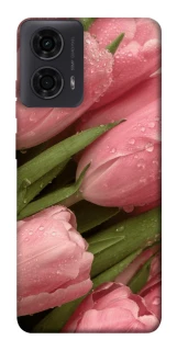 Чехол на Motorola Moto G24 Beauty фото 1 из 1