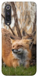 Чехол на Xiaomi Mi 9 SE Лиса фото 1 из 1