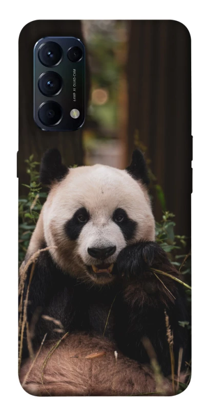 Чехол на Oppo Reno 5 4G Панда фото 1 из 1