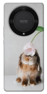 Чохол на Huawei Magic5 Lite Bunny фото 1 з 1