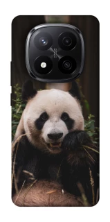 Чехол на Xiaomi Redmi Note 14 Pro+ 5G Панда фото 1 из 1