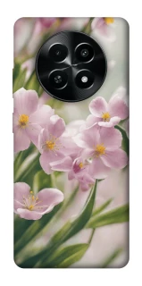 Чехол на Realme Narzo 70x Spring фото 1 из 1