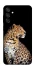 Чохол на Samsung Galaxy M15 5G Leopard v2 фото 1 з 1