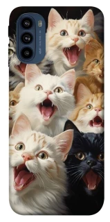 Чохол на Motorola Moto G41 Коти фото 1 з 1