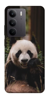 Чехол на Realme C75 Панда фото 1 из 1