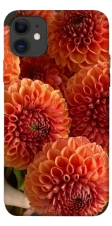 Чохол на Apple iPhone 11 (6.1") Flower1 фото 1 з 1