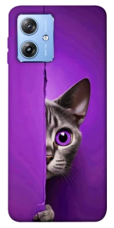 Чохол на Motorola Moto G84 Кіт-підглядач фото 1 з 1