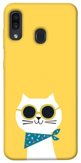 Чехол на Samsung Galaxy A20 / A30 Кот-муркот фото 1 из 1