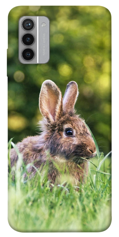 Чохол на Nokia G42 Кролики фото 1 з 1