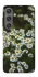 Чехол на Samsung Galaxy S24+ Ромашки v13 фото 1 из 1