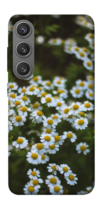 Чехол на Samsung Galaxy S24 Ромашки v13 фото 1 из 1