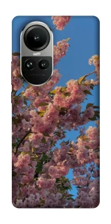Чехол на Oppo Reno 10 Flowers v4 фото 1 из 2