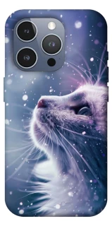 Чехол на Apple iPhone 16 Pro Max Snow cat фото 1 из 1