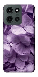 Чохол на Motorola Moto G Power (2025) Floral Symphony фото 1 з 1