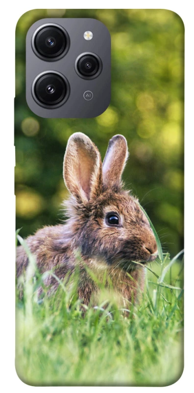 Чехол на Xiaomi Redmi 12 Кролики фото 1 из 1