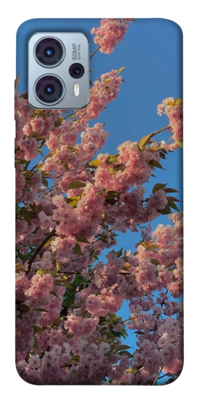 Чохол на Motorola Moto G23 Flowers v4 фото 1 з 1