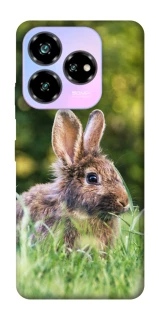 Чохол на ZTE Nubia V60 Desing Кролики фото 1 з 1