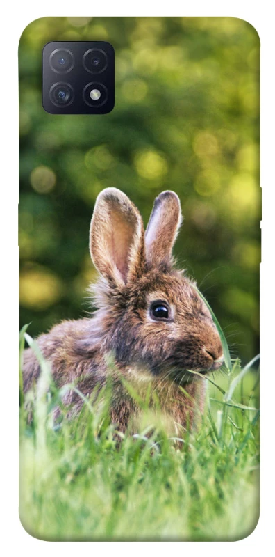 Чохол на Oppo A72 5G / A73 5G Кролики фото 1 з 1