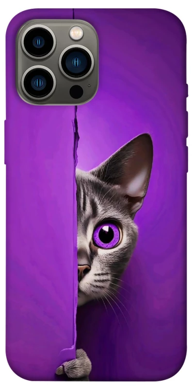 Чохол на Apple iPhone 12 Pro Max (6.7") Кіт-підглядач фото 1 з 1