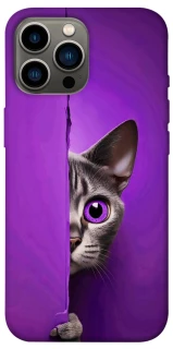 Чохол на Apple iPhone 12 Pro Max (6.7") Кіт-підглядач фото 1 з 1