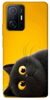 Чохол на Xiaomi 11T / 11T Pro This is Cat фото 1 з 1