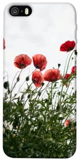 Чохол на Apple iPhone 5/5S/SE Поле маків фото 1 з 1