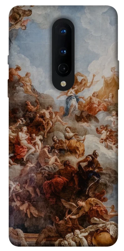 Чехол на OnePlus 8 Искусство v2 фото 1 из 1