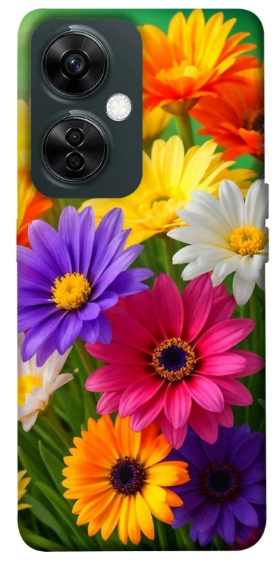 Чохол на OnePlus Nord CE 3 Lite Flowers v32 фото 1 з 1