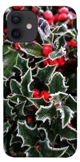 Чехол на Apple iPhone 12 (6.1") Новогодний v32 фото 1 из 1