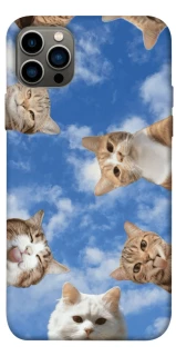 Чохол на Apple iPhone 12 Pro (6.1") Сats фото 1 з 1