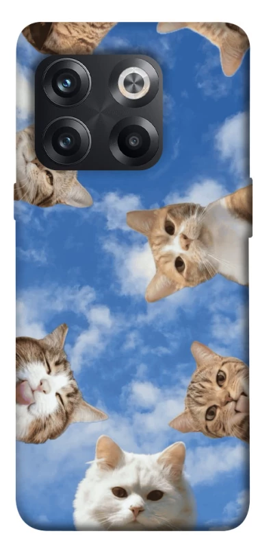 Чехол на OnePlus 10T Сats фото 1 из 1