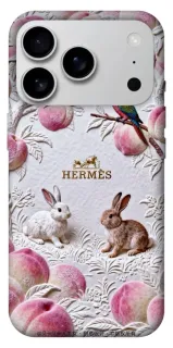 Чохол на Apple iPhone 18 Pro Max Hermes фото 1 з 1