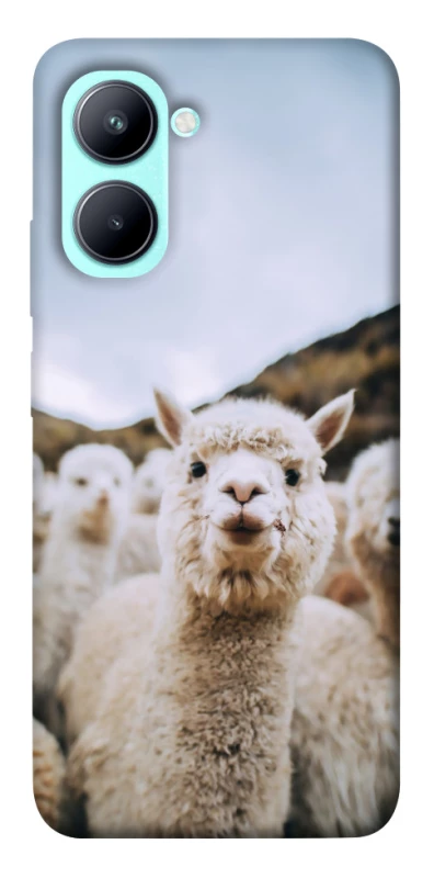 Чехол на Realme C33 Лама фото 1 из 1
