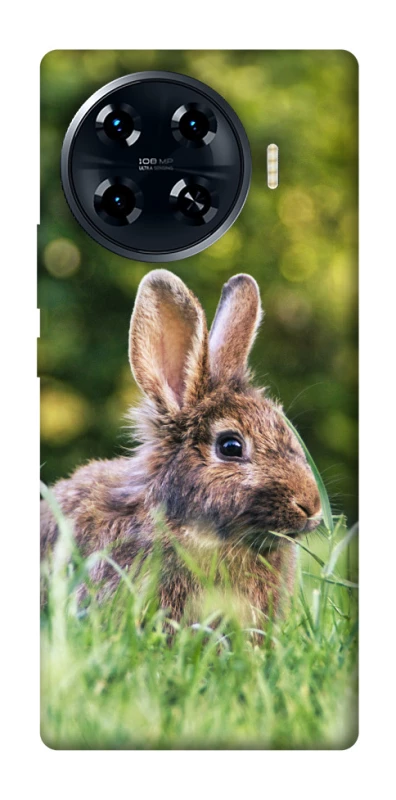 Чехол на TECNO Spark 20 Pro+ Кролики фото 1 из 1