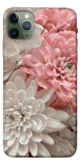 Чехол на Apple iPhone 11 Pro Max (6.5") Spring flow фото 1 из 1