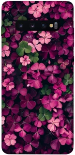 Чехол на Samsung Galaxy S10+ Flowers v7 фото 1 из 1