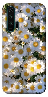 Чохол на Huawei Honor 20 Pro Поле ромашок фото 1 з 1