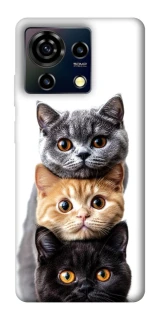 Чохол на ZTE Blade V50 Vita Гарні котики фото 1 з 1