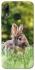 Чехол на Huawei P Smart (2019) Кролики фото 1 из 1