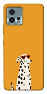 Чохол на Motorola Moto G72 Далматинець фото 1 з 1