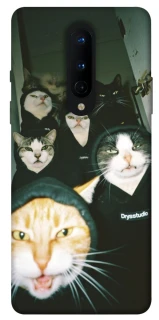 Чохол на OnePlus 8 Сatsss фото 1 з 1
