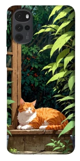 Чохол на Motorola Moto G22 red cat фото 1 з 1