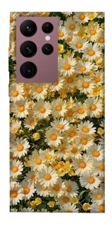 Чохол на Samsung Galaxy S22 Ultra Camomile фото 1 з 1