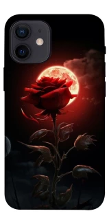 Чохол на Apple iPhone 12 mini (5.4") Червона троянда фото 1 з 1