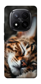 Чехол на Xiaomi Redmi Note 14 Pro+ 5G Cat paws фото 1 из 1