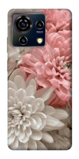 Чохол на ZTE Blade V50 Vita Spring flow фото 1 з 1