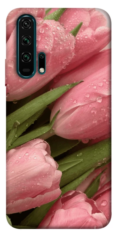 Чохол на Huawei Honor 20 Pro Beauty фото 1 з 1